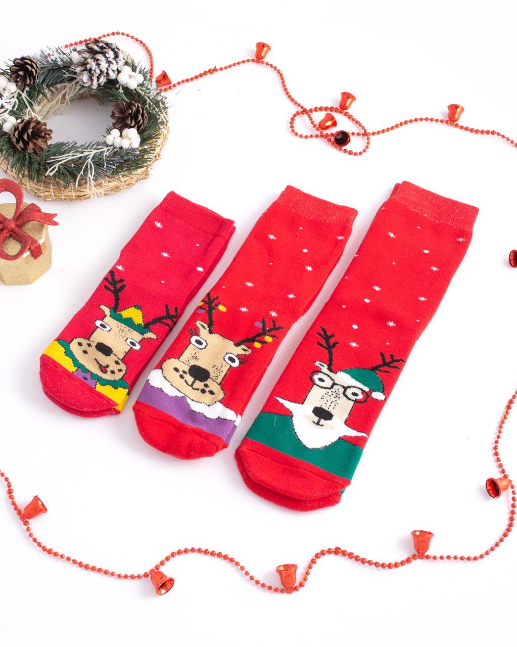 Носки новогодние махровые для всей семьи FAMILY LOOK р. 10-12