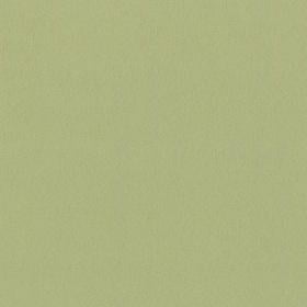 Шпалери вінілові на флізілиновій основі 0.53х10.05 P+S International Delidnt 03924-30