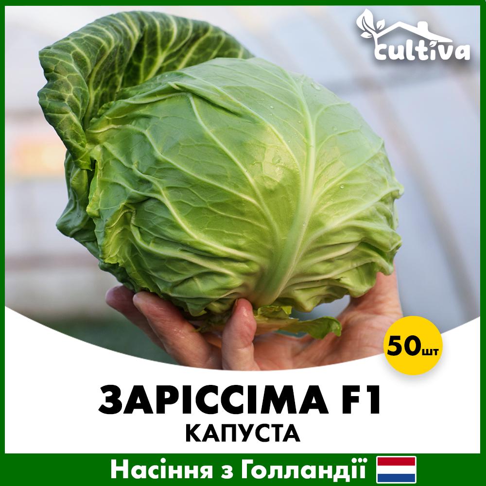 Насіння капусти Rijk Zwaan Заріссіма F1 50 шт. (R51033_50)