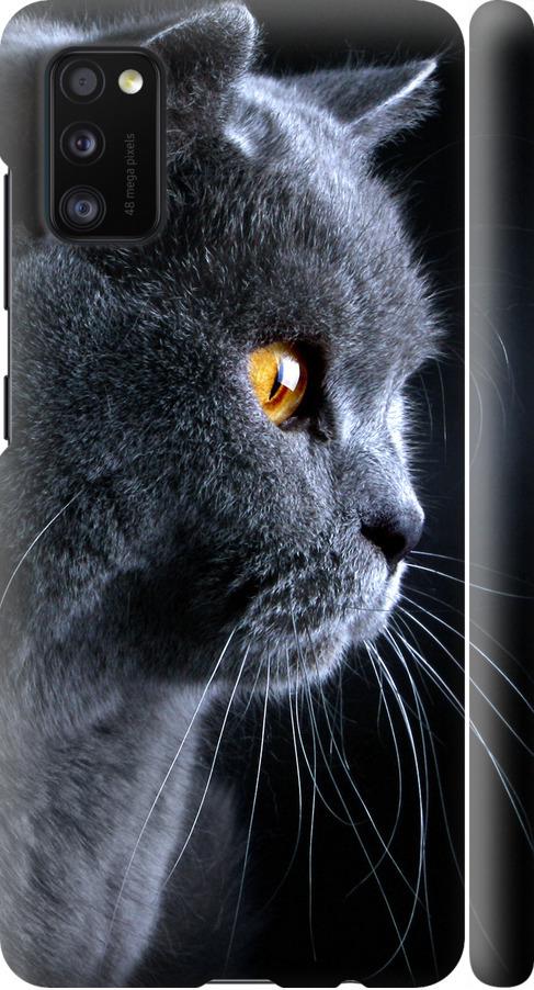 Чехол на Samsung Galaxy A41 A415F Красивый кот (3038m-1886-42517)