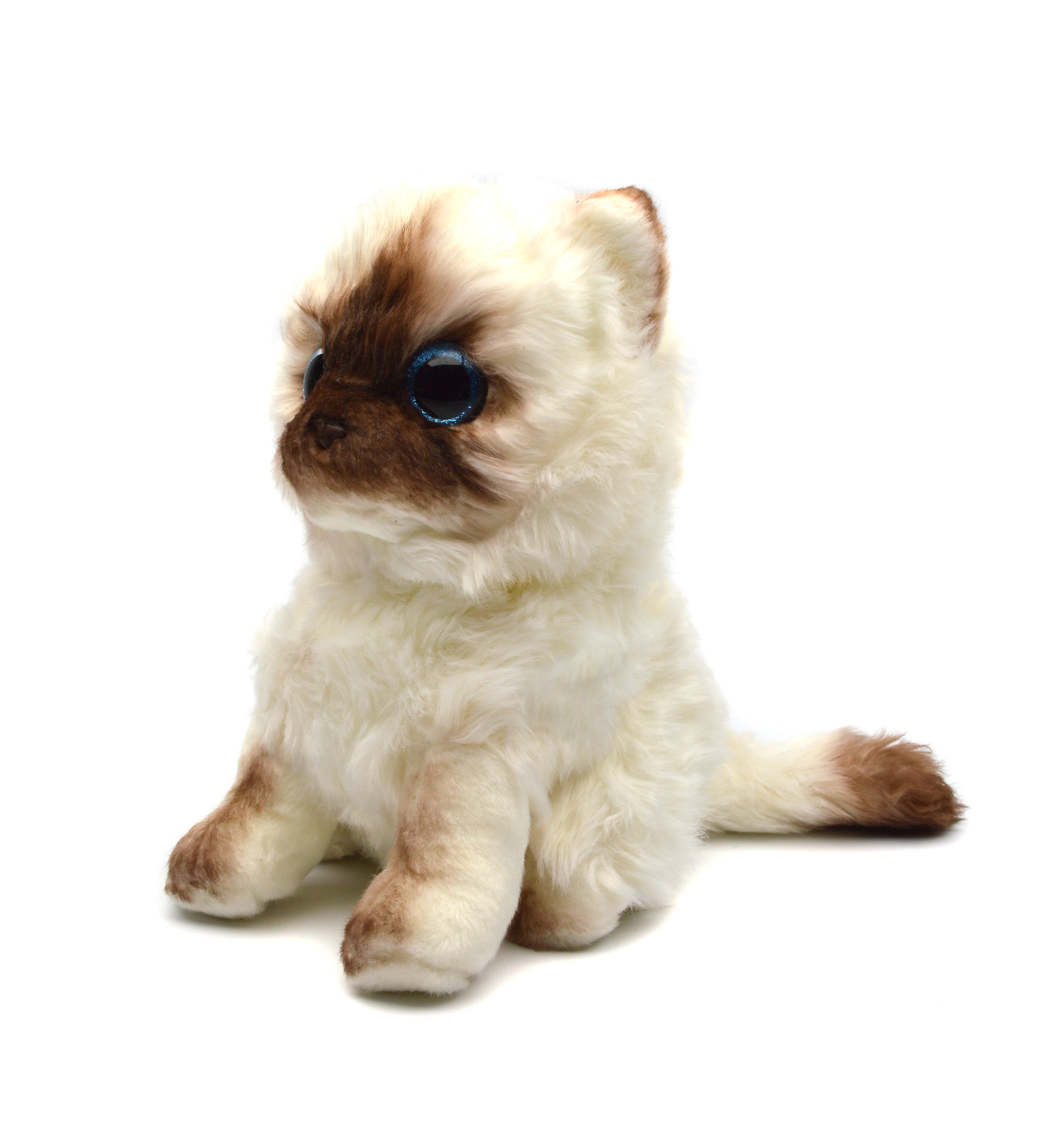 Мягкая игрушка Shantou Котик 19268 24 см (19268)