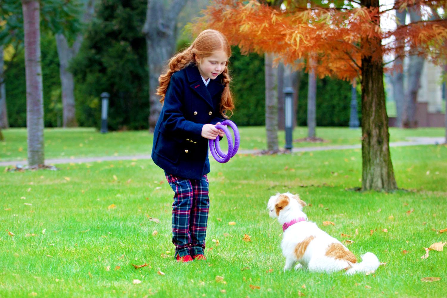 Тренувальний снаряд для собак Puller Mini 18 см (6491) - фото 12 Тренувальний снаряд для собак Puller Mini 18 см (6491) - фото 12