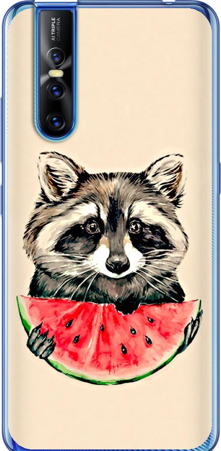 Чехол на Vivo V15 pro Енотик с арбузом (4605t-1763-42517)