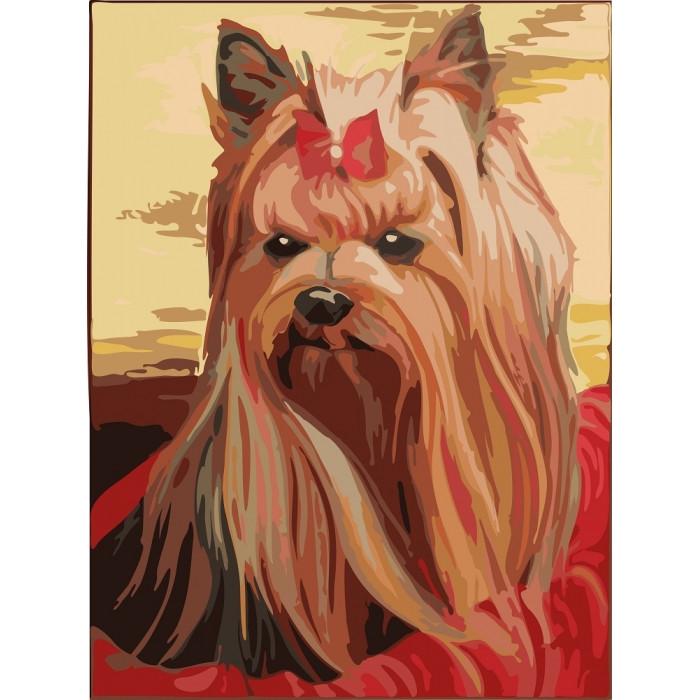 Картина по номерам Ідейка Милый друг 30х40 см (KHO2454)