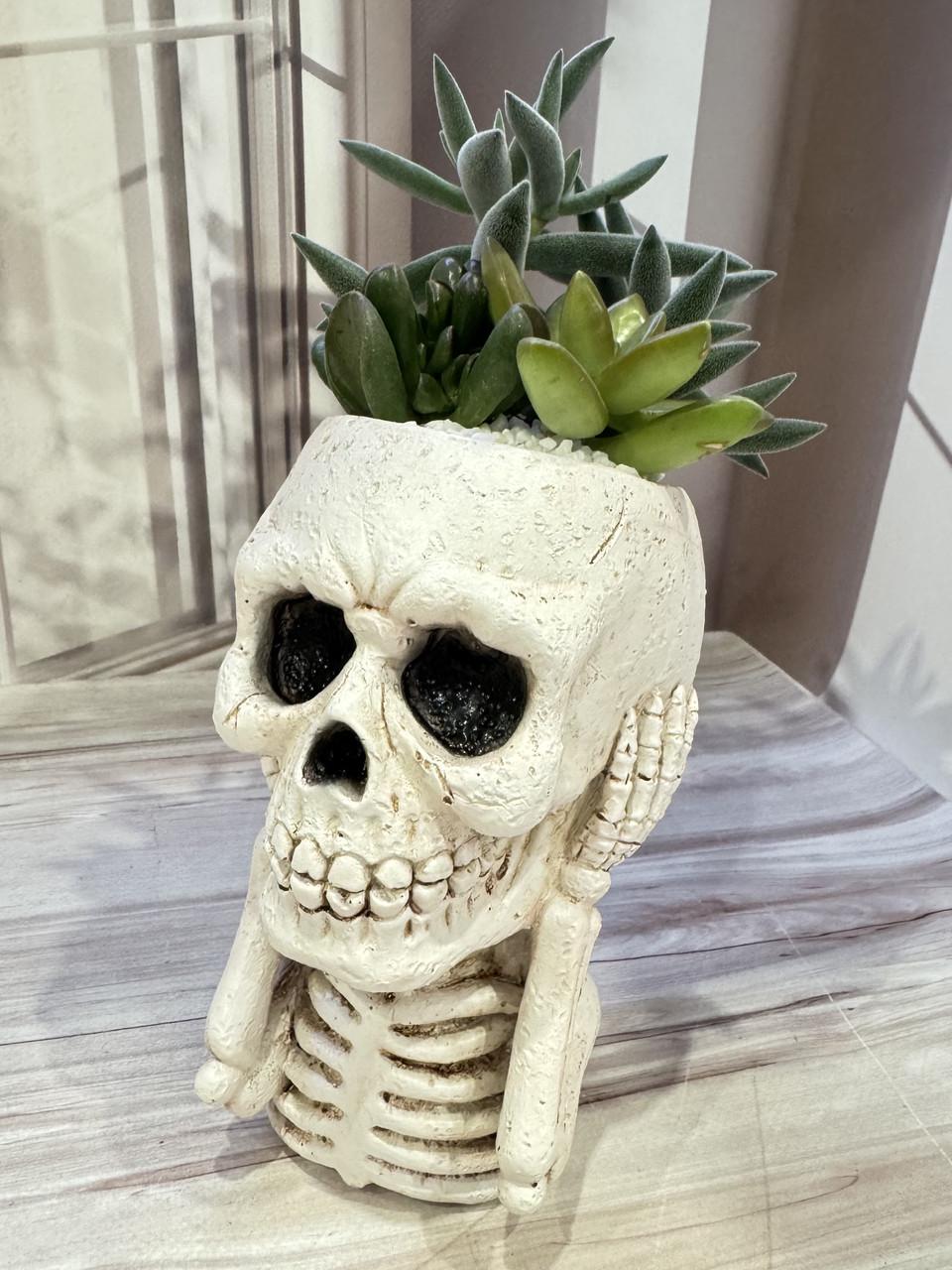 Горшок Череп Не слышу для суккулентов комнатных растений (23348225)