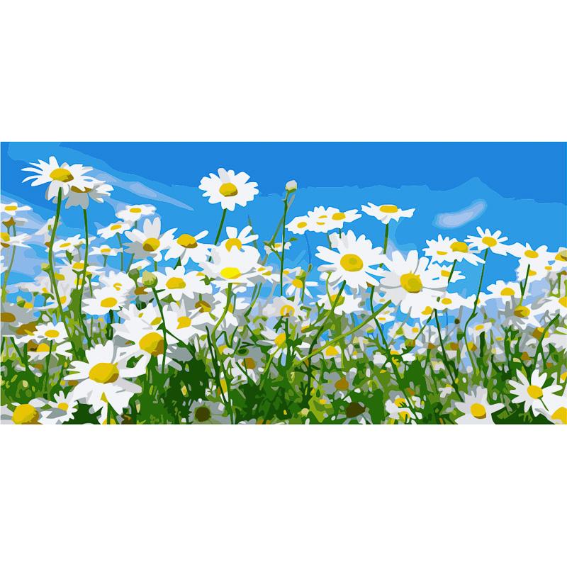 Картина по номерам Strateg Премиум Ромашки в поле 50х25 см (WW041)