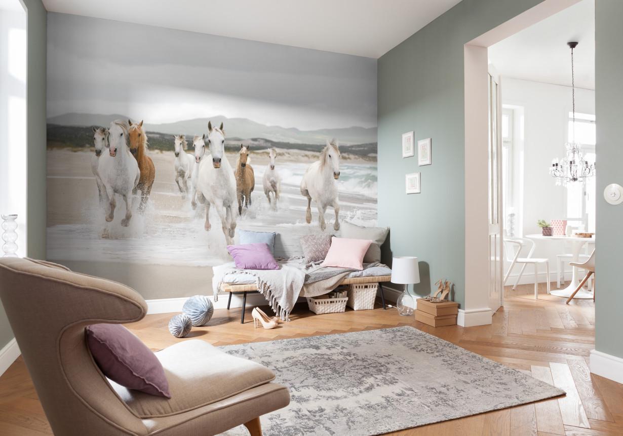 ᐉ Обои Панно Komar White Horses бумажные моющие 368х254 см (8-986