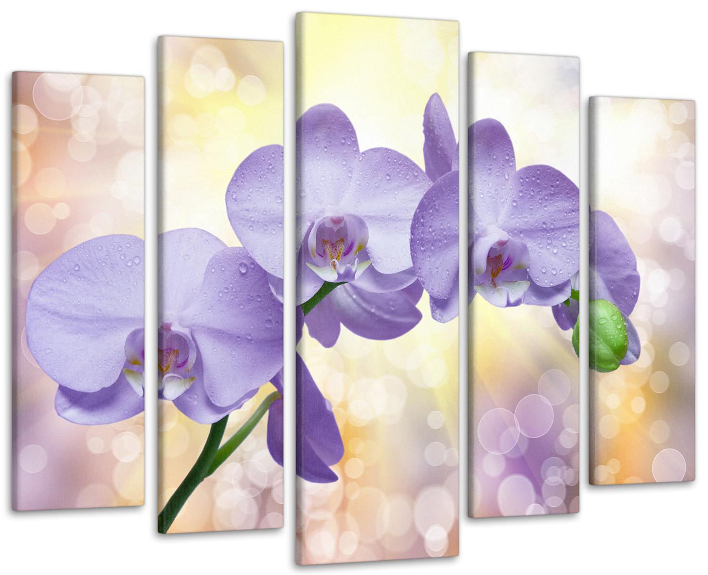 Картина модульная Орхидея 105х150 см (Art-337_5)