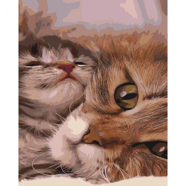 Картина по номерам Strateg Животные Милости 40х50 см в термопакете (SY6426-mt)