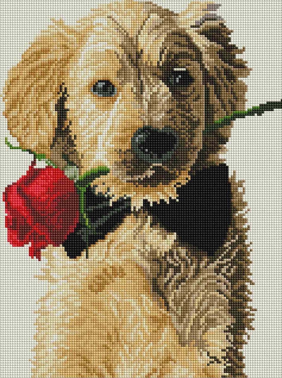 Алмазная мозаика ColorArt Собака джентльмен 30х40 см (ST452)