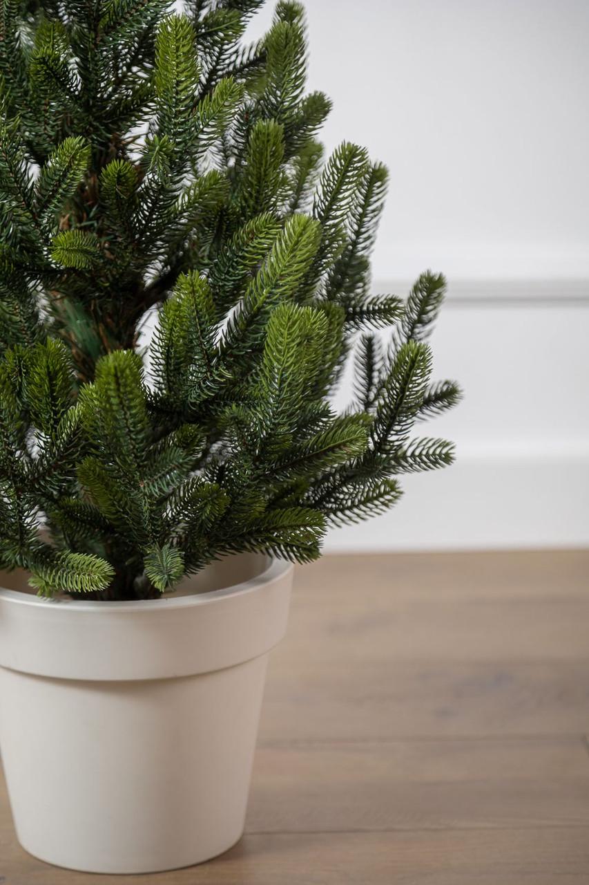 Ялинка лита SG Віденська в горщику весняна 0,70 м - фото 3 Ялинка лита SG Віденська в горщику весняна 0,70 м - фото 3