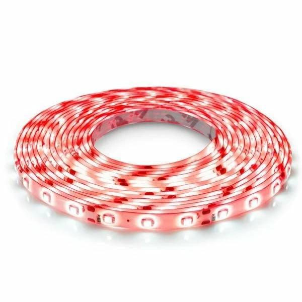 Светодиодная лента герметичная OEM ST-12-2835- 60-R-65 4,8W 5 м Красный (27768415)