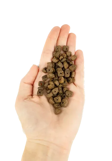 Корм сухий Lenda MEAT&FISH Mini з м'ясом та рибою для собак дрібних порід 2 кг (24054155) - фото 2 Корм сухий Lenda MEAT&FISH Mini з м'ясом та рибою для собак дрібних порід 2 кг (24054155) - фото 2