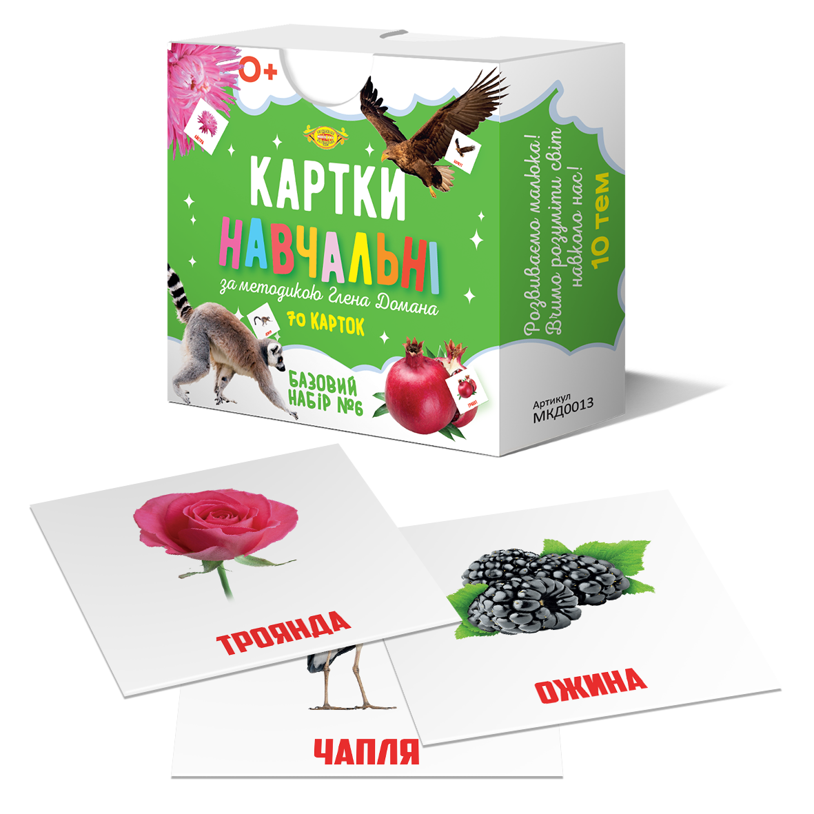 Картки Глена Домана Базовий набір No6 70 шт. 10 тем українською (МКД0013) Картки Глена Домана Базовий набір No6 70 шт. 10 тем українською (МКД0013)