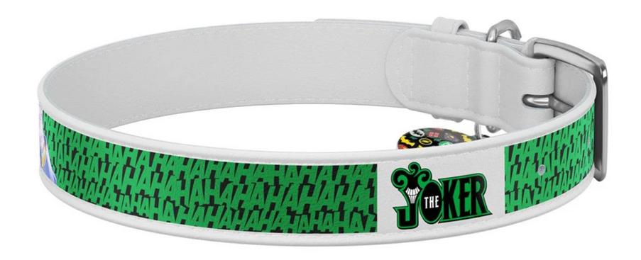 Нашийник для собак шкіряний WAUDOG Design з QR паспортом Джокер L 25 мм 38-49 см Білий (Collar0025-1001-15)