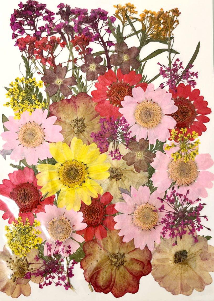 Сухоцвет набор №5 для творчества для ювелирных изделий из эпоксидной смолы 40 шт. (С-032/5)