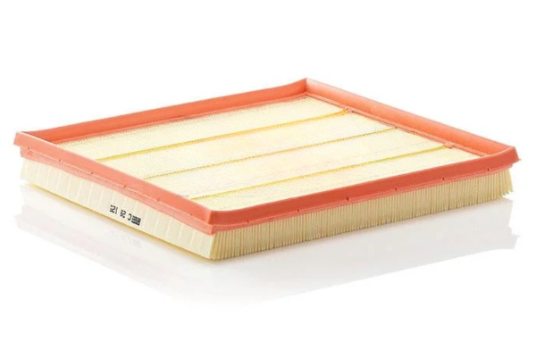 Фільтр повітряний MANN C28125