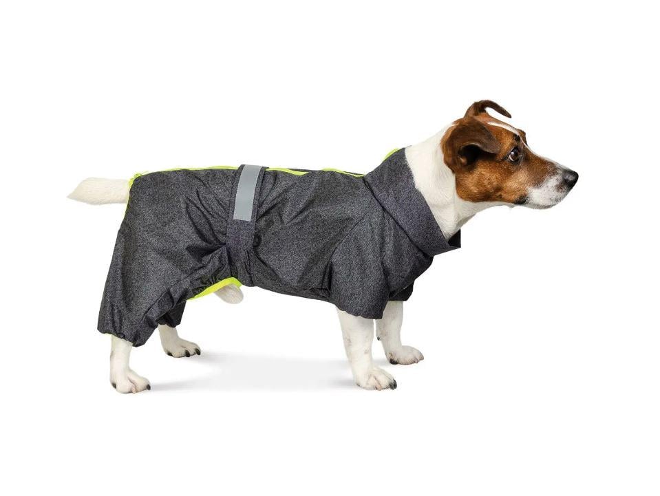 Комбінезон для собак Природа RAIN XS Сірий (4823082416431) Комбінезон для собак Природа RAIN XS Сірий (4823082416431)