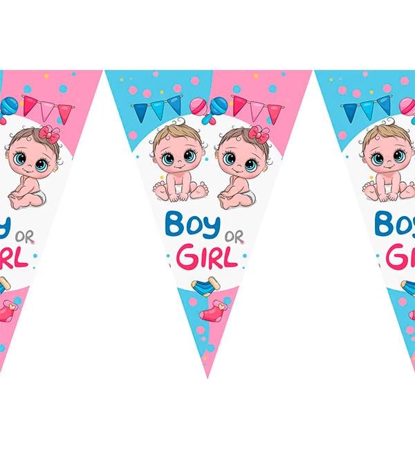 Гирлянда бумажная Boy or Girl из флажков 2 м (1356246)