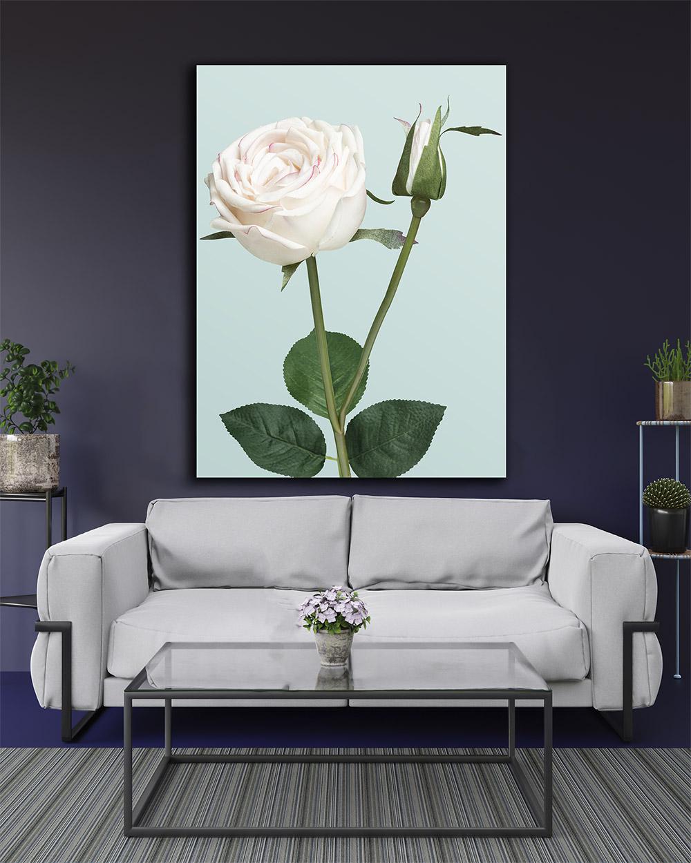 Картина в спальню Белая роза 90х120 см (28305963)