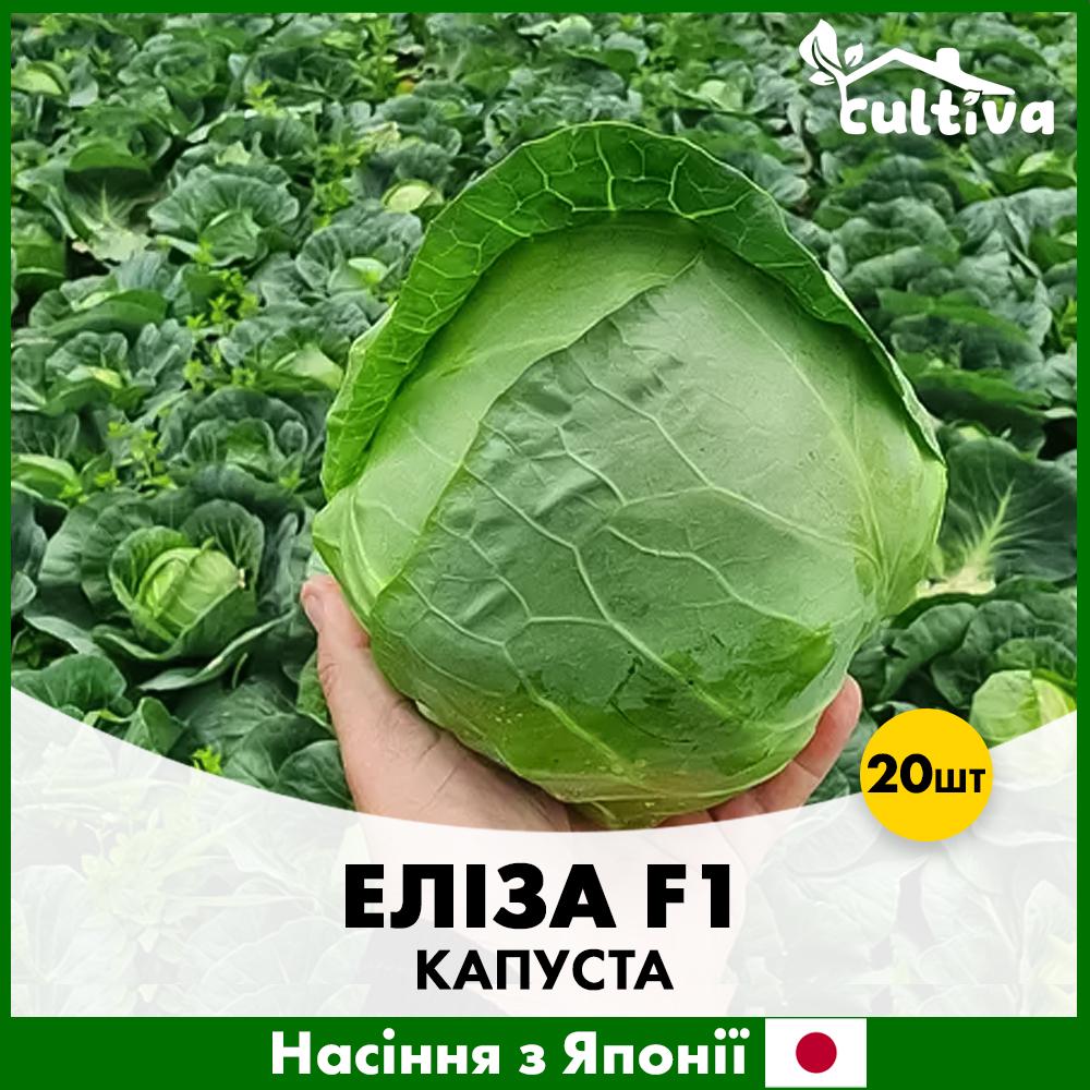 Насіння капусти Sakata Білоголова Еліза F1 20 шт. (R51058)