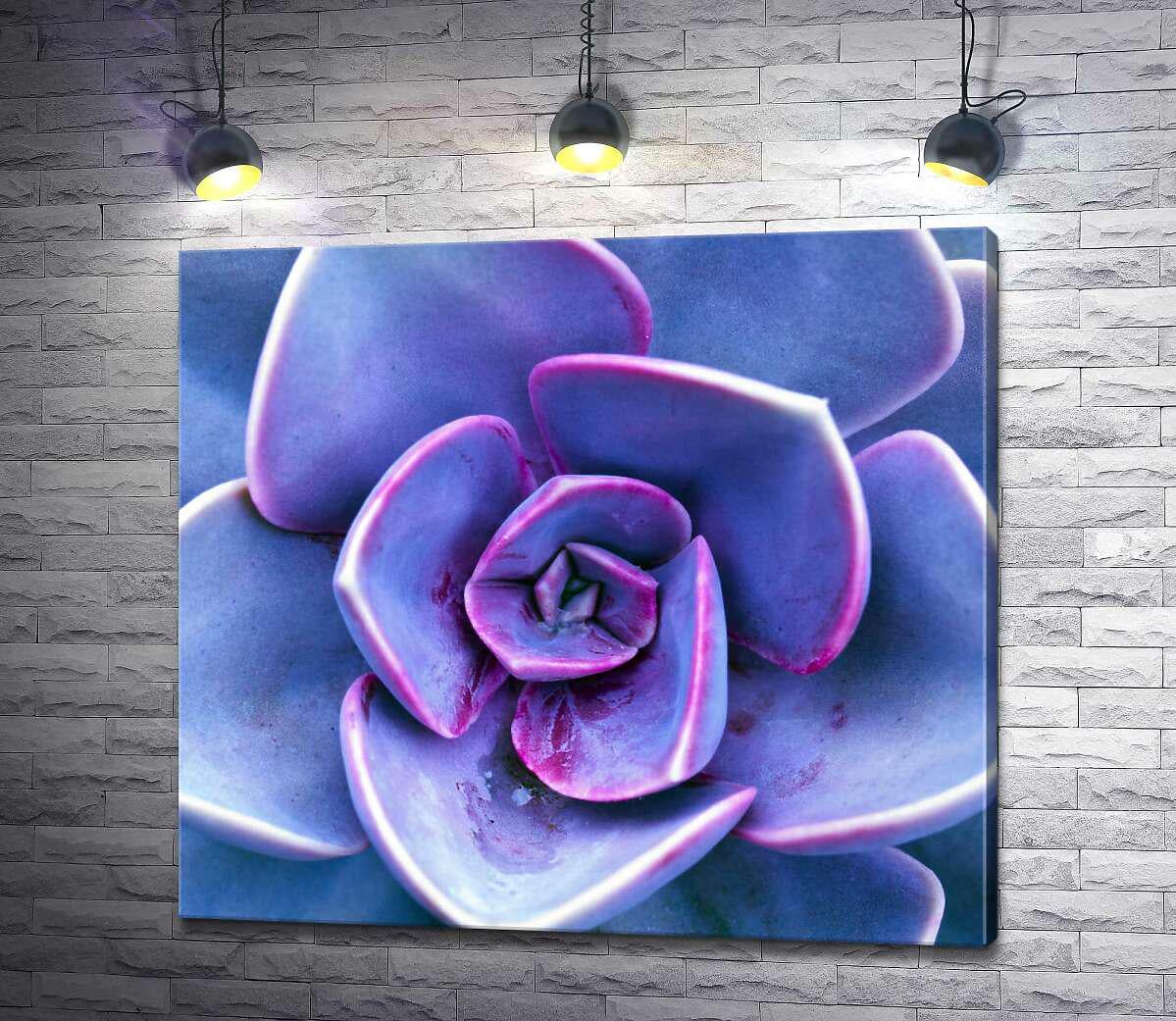 Картина ArtPoster Сочные лепестки экзотического растения эхеверии 130x117 см Модуль №1 (002799)