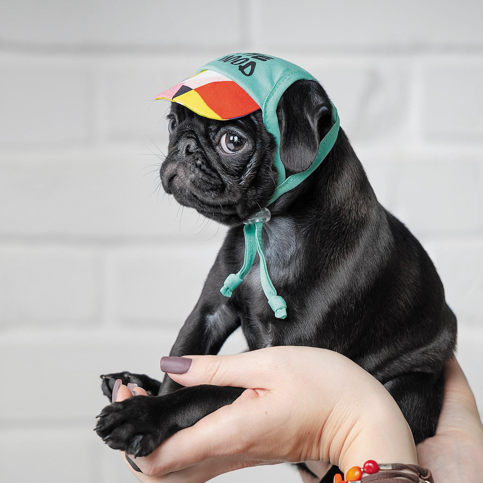 Кепка Pet Fashion Summer S Зеленый (PR242130)