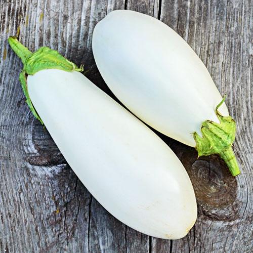 Насіння Баклажан Florium Смак Грибів (16917)