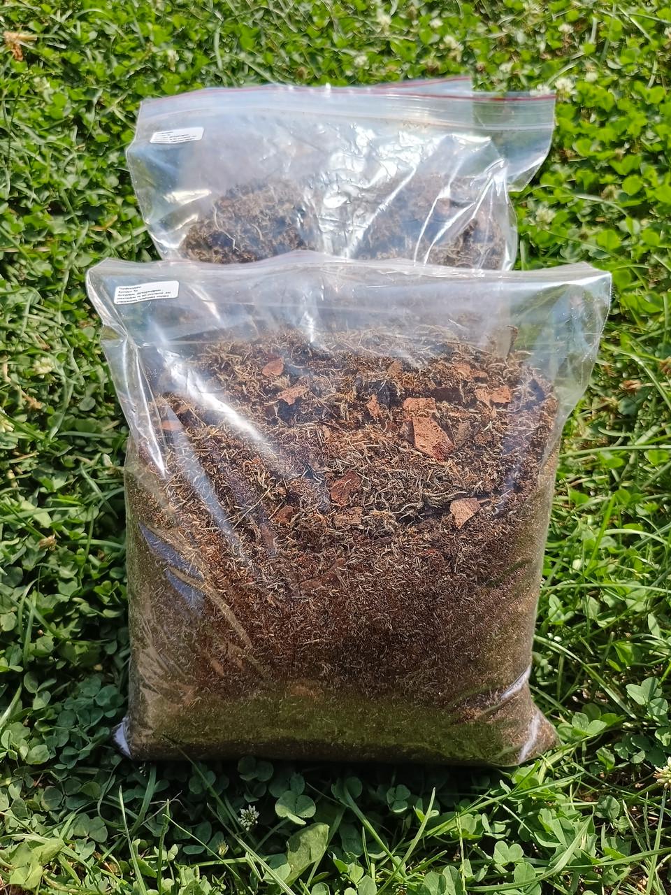 Торфосуміш для антуріумів та ароїдних 3 л (2300677894)