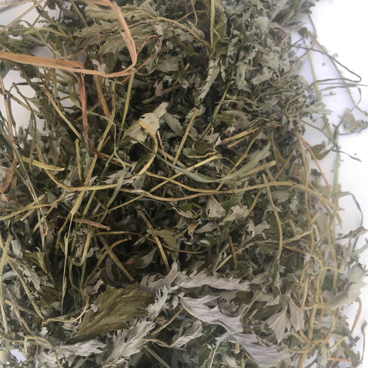 Ветреница Карпаты 50 г (62962640b490761a7f3e4973)