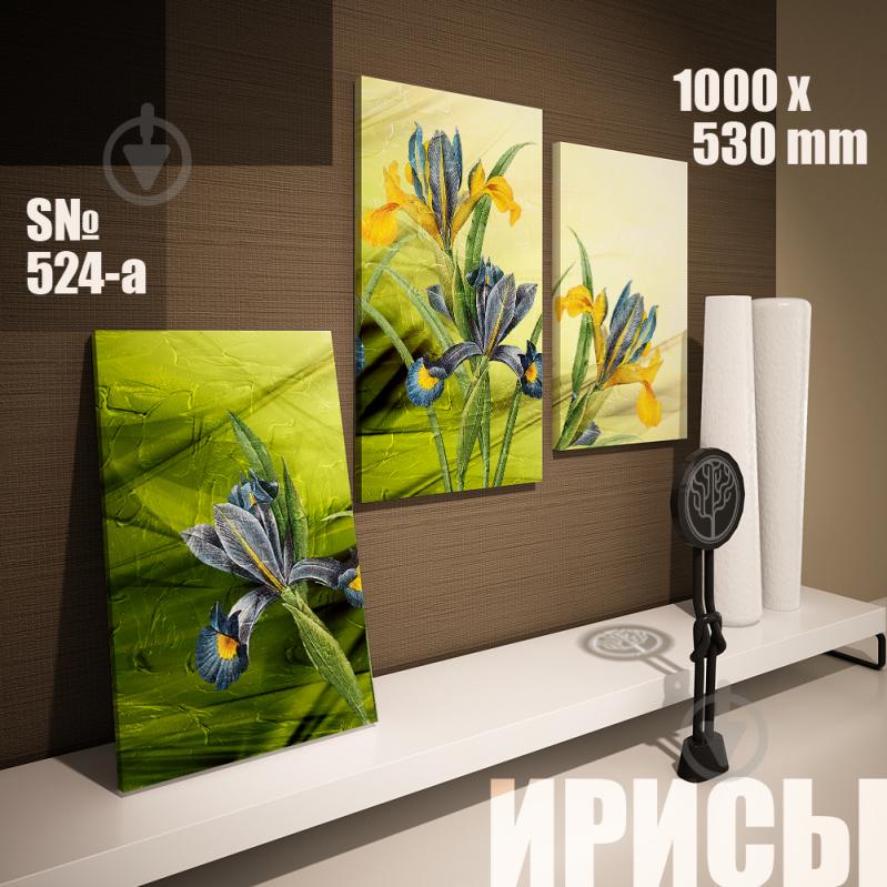 Модульная картина Декор Карпаты ирисы 100х53см (s524-A)