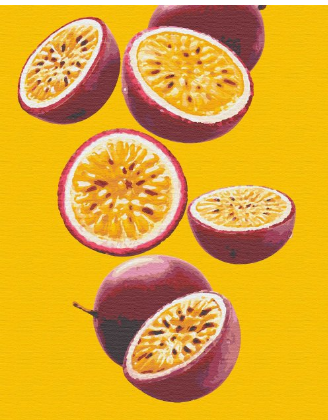 Картина по номерам Riviera Blanca Маракуа 40x50 см (RB-0250)