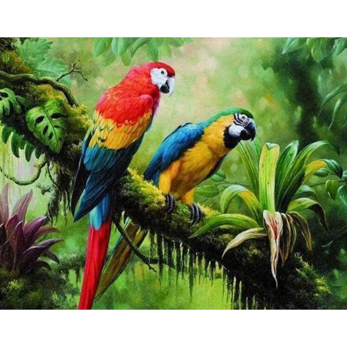 Алмазная мозаика Santi Обитатели тропиков 40х50 см на подрамнике (954107)