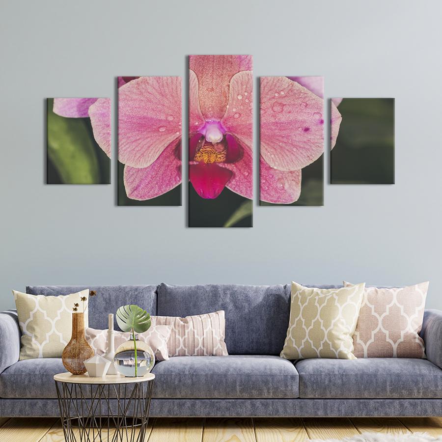 Картина на холсте Нежный цветок мраморной орхидеи 112x54 см (965-52)