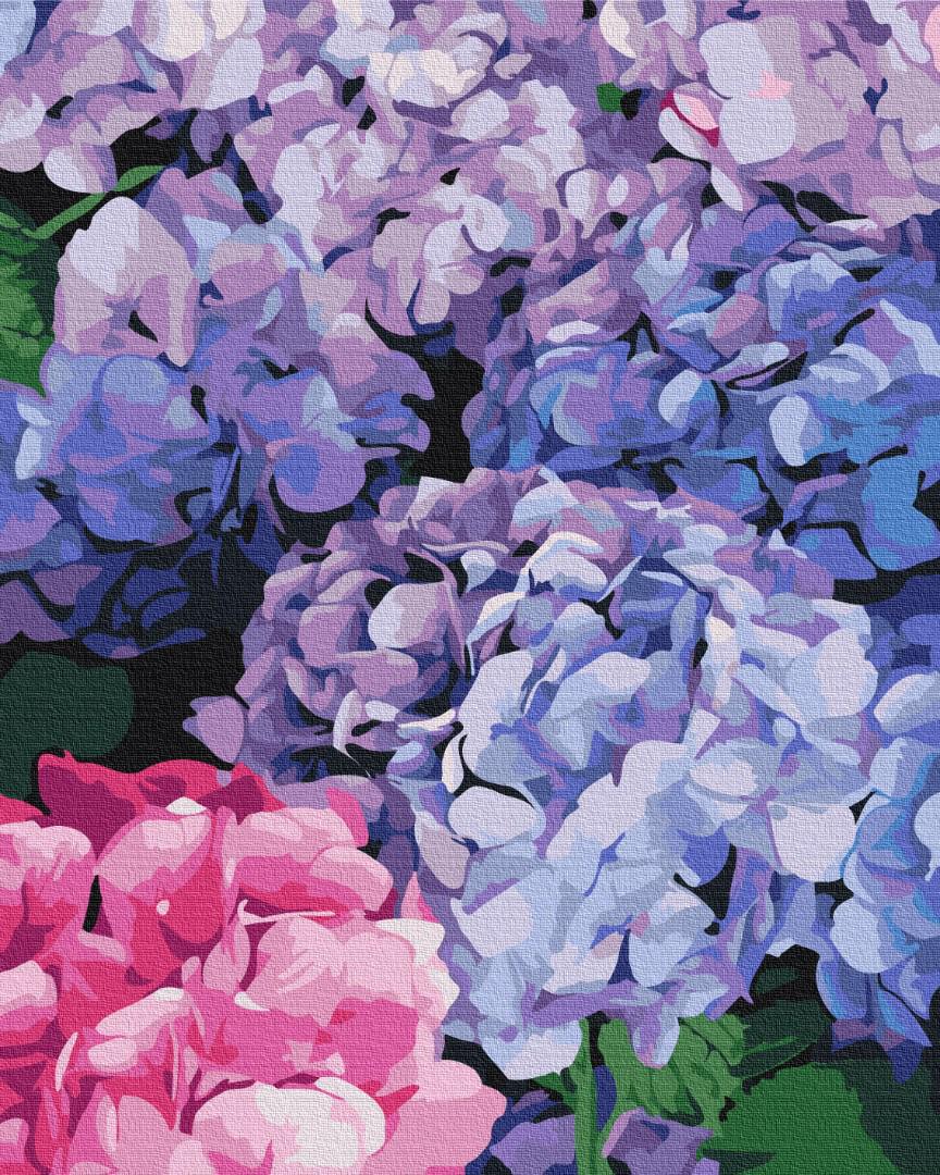 Картина по номерам Brushme Премиум Яркая гортензия 40x50 см (PBS51667)