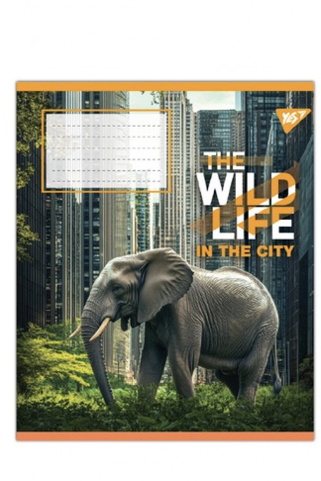 Тетрадь ученическая YES The wild in the city школьная А5/24 кл. (767764)