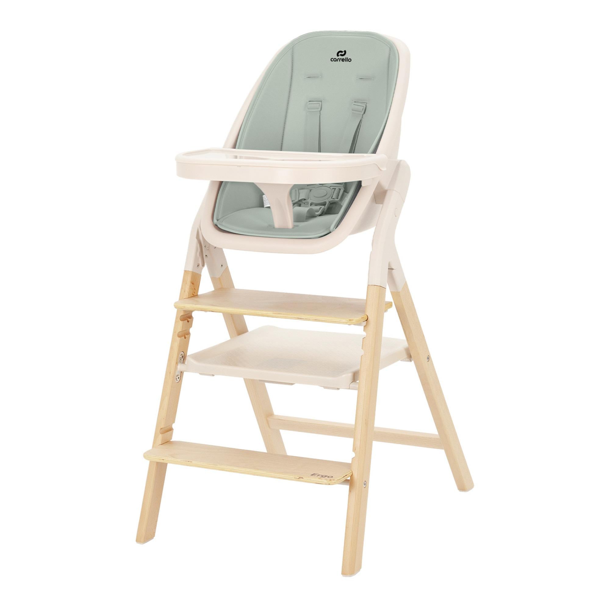 Стул для кормления 4в1 Carrello Ergo Elora Green (CRL-16701)