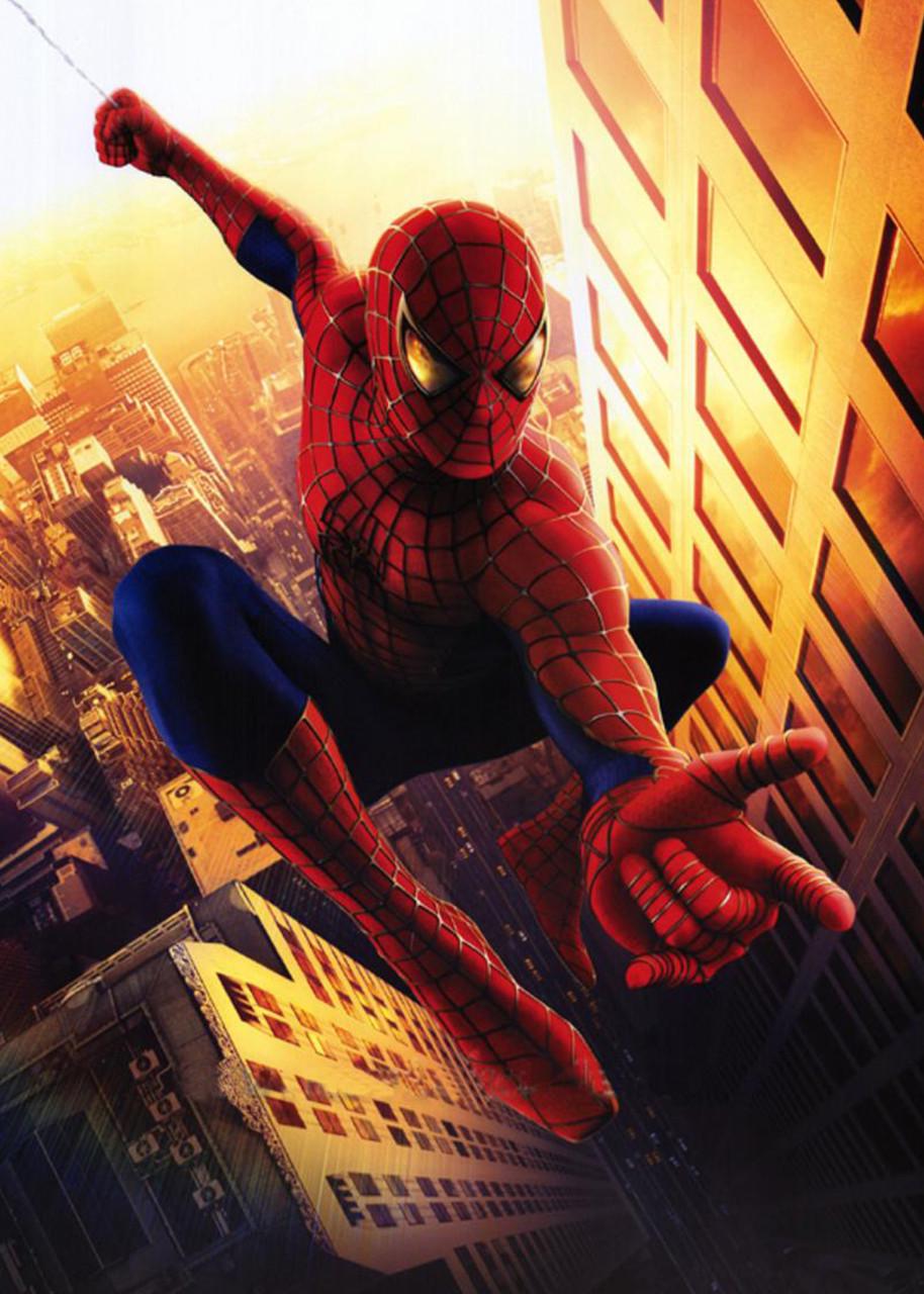 Картина GeekLand Spider-Man 40х60 см (SM.09.003)