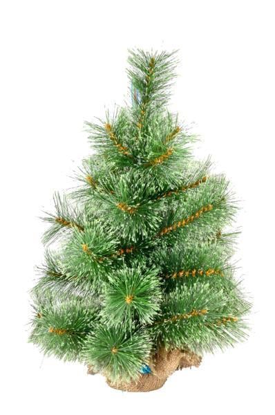 Сосна Novogod’Ko Горная 0,60 м (904808)