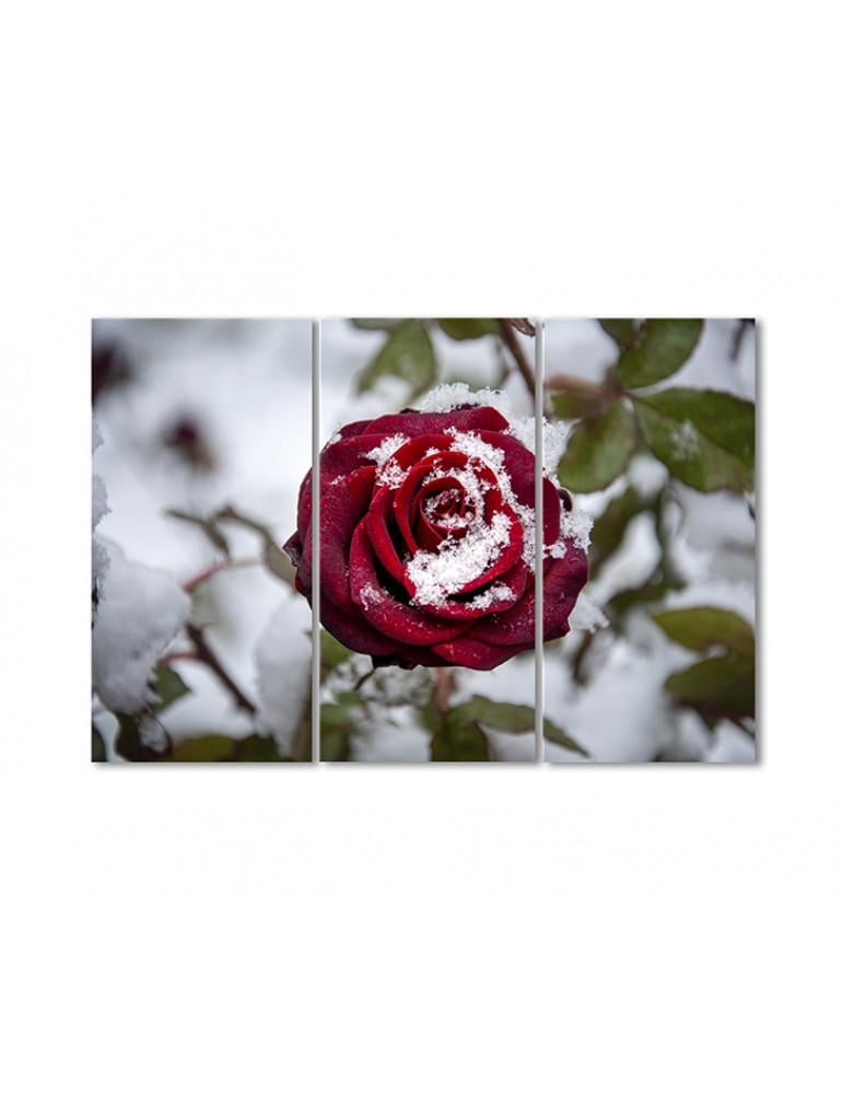 Картина модульная Сердце розы в снегу 3 модуля 60x90 см