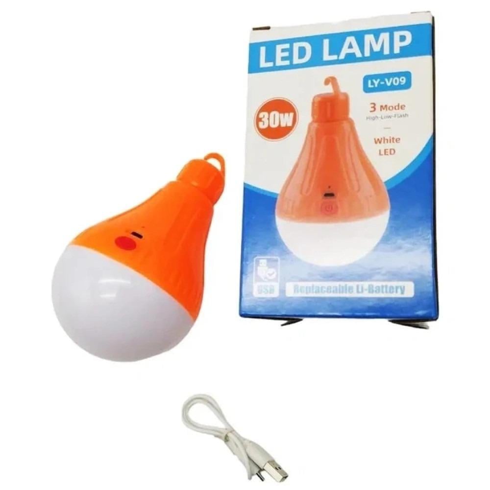 Лампа акумуляторна LED 30W біле світло Помаранчевий