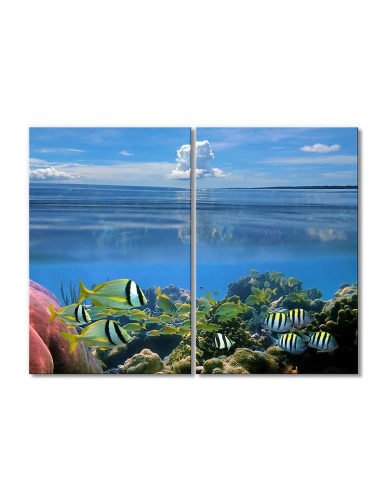 Картина модульная Рыбки под водой 2 модуля 40х60 см