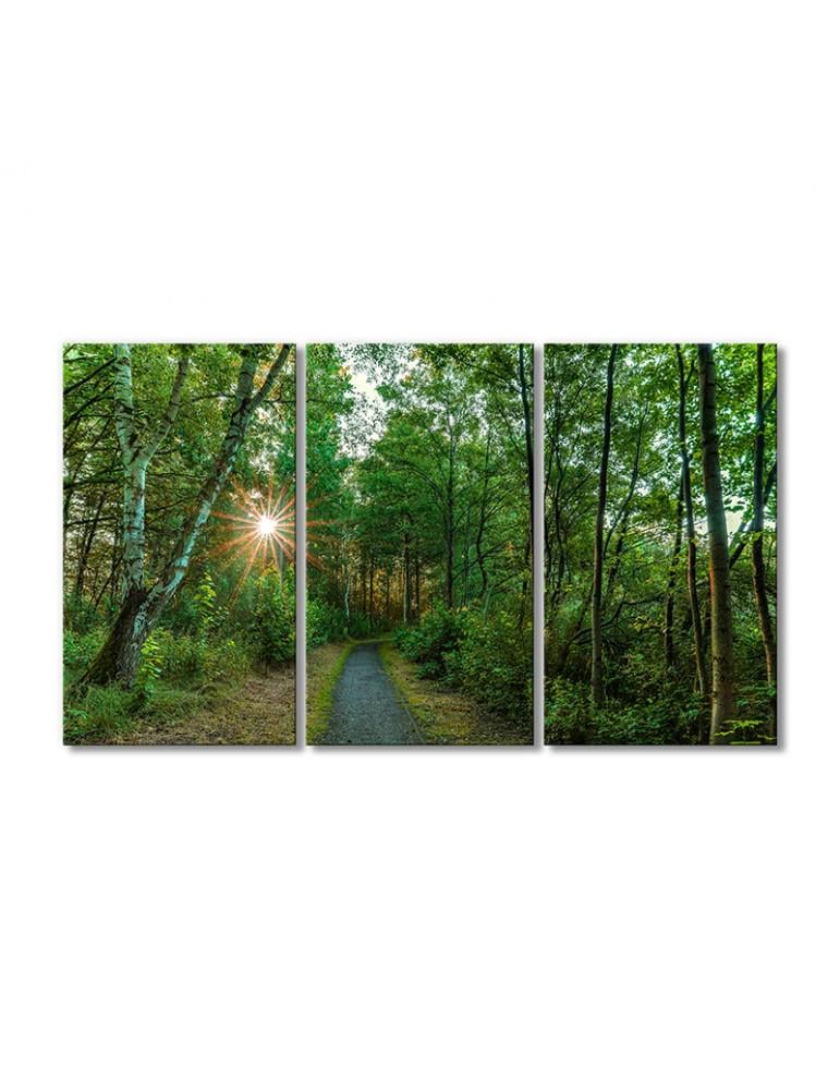 Картина модульная Путь сквозь чащу 3 модуля 120x180 см