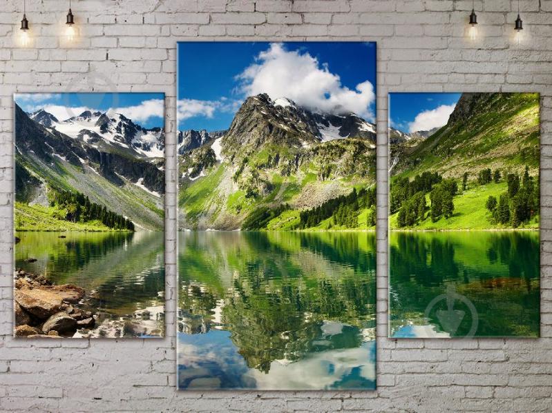 Модульная картина ArtStar ADNA0058 размер 70 х 105 см