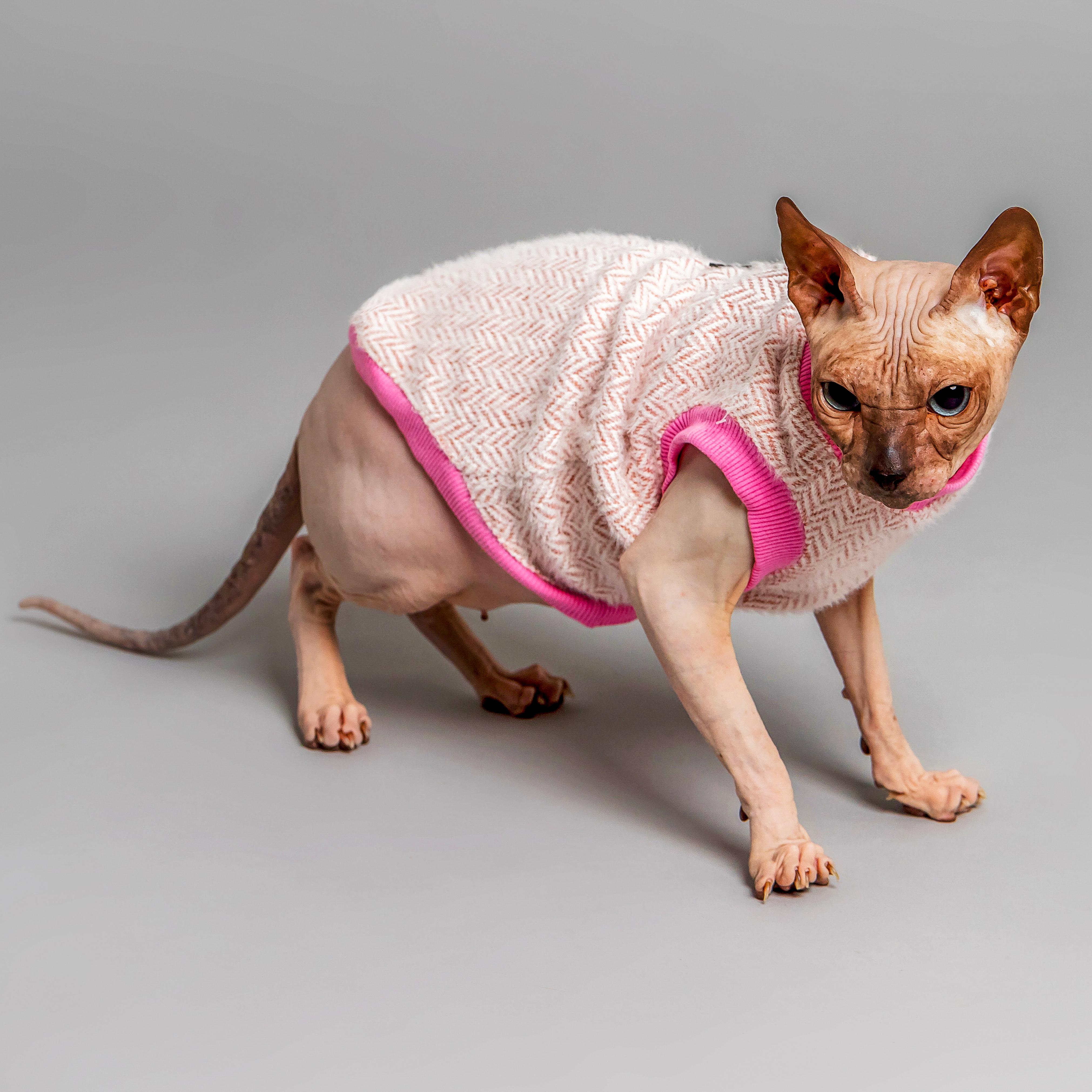 Кофта для котів без рукавів тепла Style Pets Ялинка XS Pink (459XS) - фото 7