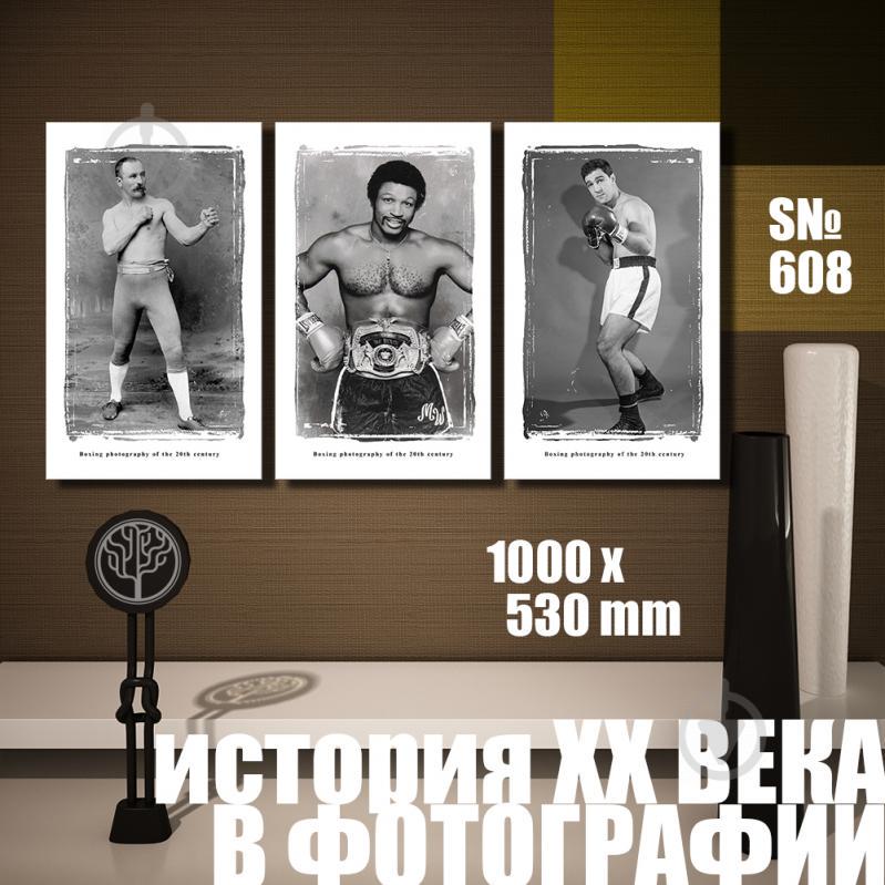 Модульная картина Декор Карпаты история ХХ века: сила 100х53см (s608)