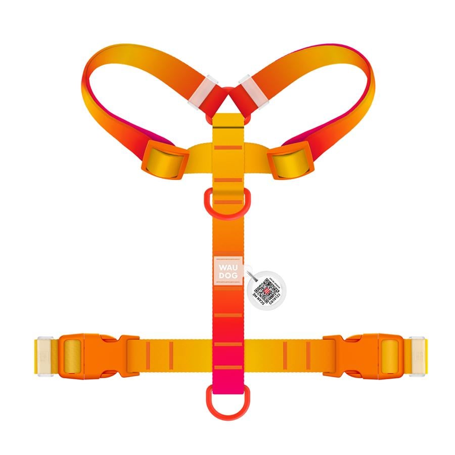 Шлейка для собак с QR-паспортом WAUDOG Nylon Recycled Градиент пластиковый фастекс S 15 мм A 30-45 см/B 35-45 см Orange (47514) - фото 2 Шлейка для собак с QR-паспортом WAUDOG Nylon Recycled Градиент пластиковый фастекс S 15 мм A 30-45 см/B 35-45 см Orange (47514) - фото 2
