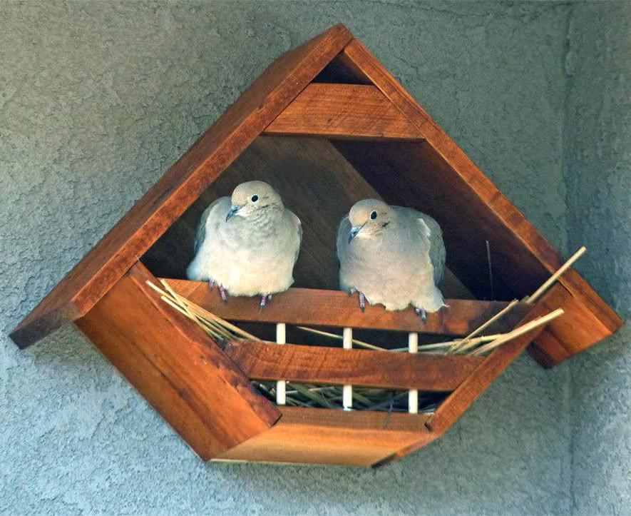 Гнездовье для птиц из дерева Чирок Охра (ГНЗ-000904)