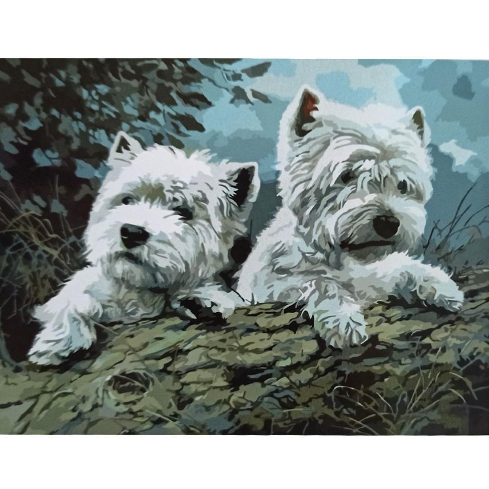 Картина по номерам Strateg Премиум Белые пушистики 30x40 см (SS-6525)