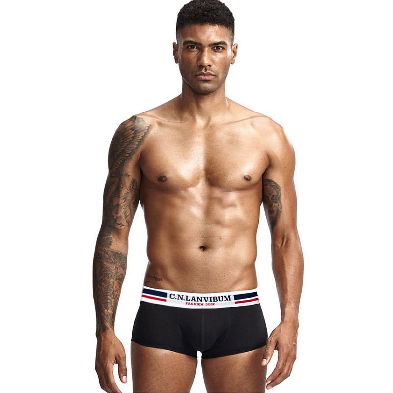 Трусы Lanvibum M Черный (SP7438)